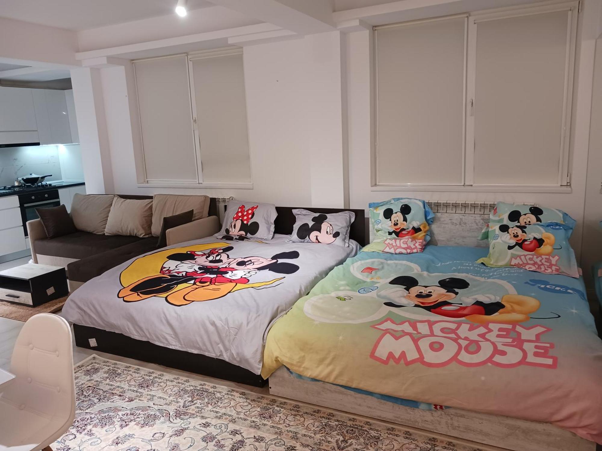布加勒斯特Myky Mouse Nu Primesc Santieristi Si Petrecareti公寓 外观 照片